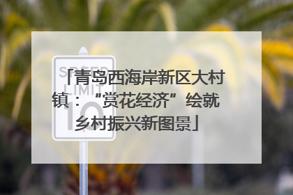 青岛西海岸新区大村镇：“赏花经济”绘就乡村振兴新图景