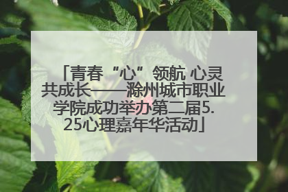 青春“心”领航 心灵共成长——滁州城市职业学院成功举办第二届5.25心理嘉年华活动