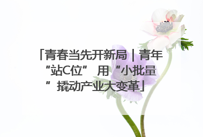 青春当先开新局｜青年“站C位” 用“小批量”撬动产业大变革