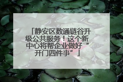 静安区数通链谷升级公共服务！这个新中心将帮企业做好“开门四件事”