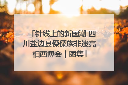 针线上的新国潮 四川盐边县傈僳族非遗亮相西博会｜图集