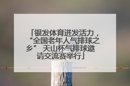 银发体育迸发活力，“全国老年人气排球之乡” 天山杯气排球邀请交流赛举行