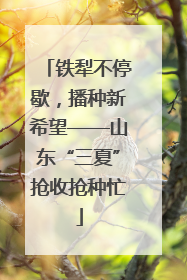 铁犁不停歇，播种新希望——山东“三夏”抢收抢种忙