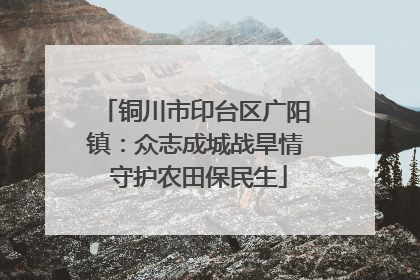 铜川市印台区广阳镇：众志成城战旱情 守护农田保民生