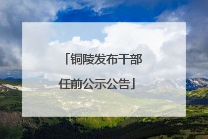 铜陵发布干部任前公示公告