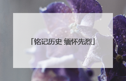 铭记历史 缅怀先烈