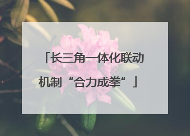 长三角一体化联动机制“合力成拳”