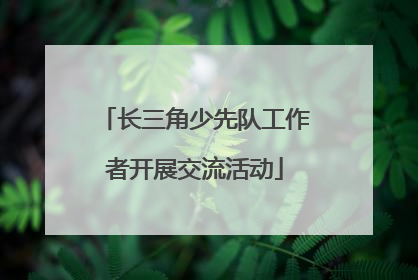 长三角少先队工作者开展交流活动