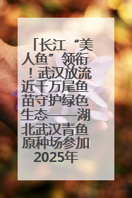 长江“美人鱼”领衔！武汉放流近千万尾鱼苗守护绿色生态——湖北武汉青鱼原种场参加2025年“全国放鱼日”增殖放流活动