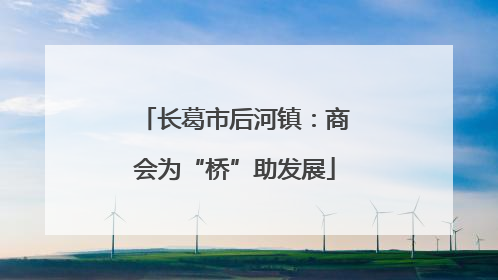 长葛市后河镇：商会为“桥”助发展
