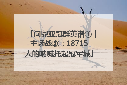 问鼎亚冠群英谱①｜主场战歌：18715人的呐喊托起冠军城
