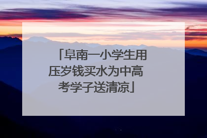阜南一小学生用压岁钱买水为中高考学子送清凉