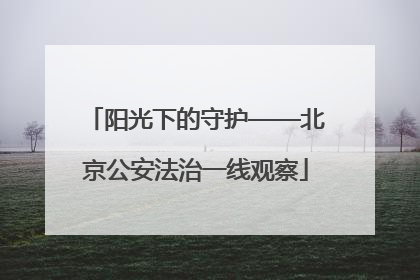 阳光下的守护——北京公安法治一线观察