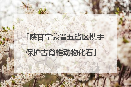 陕甘宁蒙晋五省区携手保护古脊椎动物化石