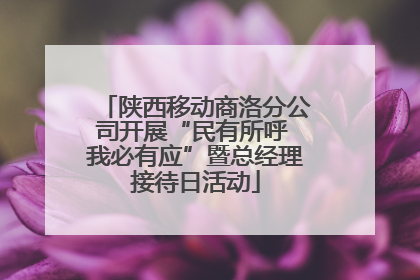 陕西移动商洛分公司开展“民有所呼 我必有应”暨总经理接待日活动