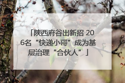 陕西府谷出新招 206名“快递小哥”成为基层治理“合伙人”