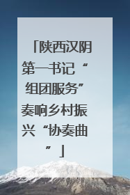 陕西汉阴第一书记“组团服务”奏响乡村振兴“协奏曲”
