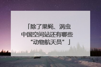 除了果蝇、涡虫 中国空间站还有哪些“动物航天员”