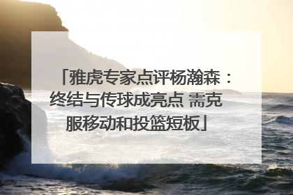 雅虎专家点评杨瀚森：终结与传球成亮点 需克服移动和投篮短板