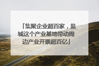 集聚企业超百家，盐城这个产业基地带动周边产业开票超百亿