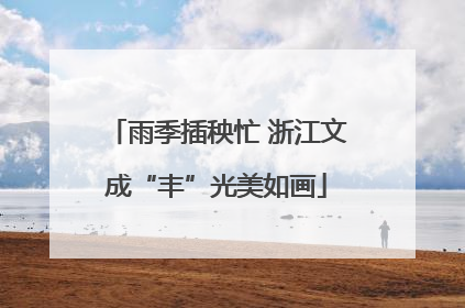 雨季插秧忙 浙江文成“丰”光美如画