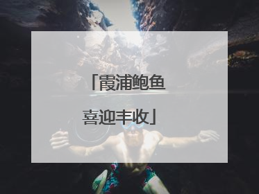 霞浦鲍鱼喜迎丰收
