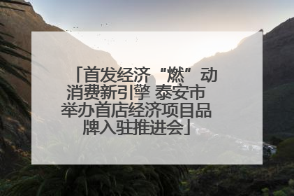首发经济“燃”动消费新引擎 泰安市举办首店经济项目品牌入驻推进会