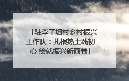 驻李子塘村乡村振兴工作队：扎根热土践初心 绘就振兴新画卷