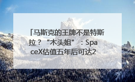 马斯克的王牌不是特斯拉？“木头姐”：SpaceX估值五年后可达2.5万亿美元！