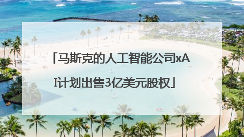 马斯克的人工智能公司xAI计划出售3亿美元股权