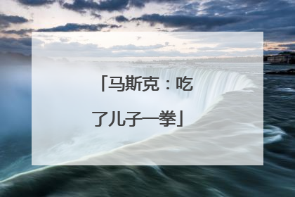 马斯克：吃了儿子一拳