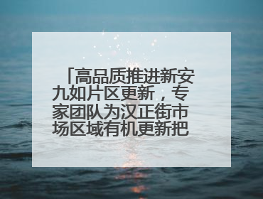 高品质推进新安九如片区更新，专家团队为汉正街市场区域有机更新把脉问诊
