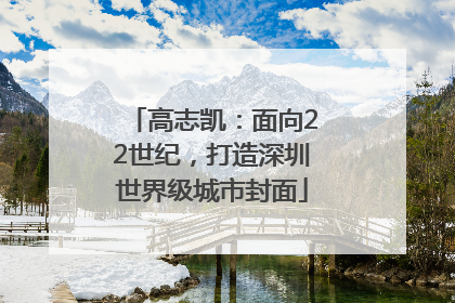 高志凯：面向22世纪，打造深圳世界级城市封面
