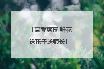 高考落幕 鲜花送孩子送师长