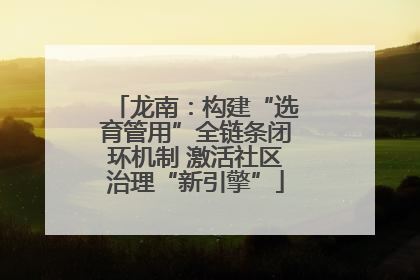 龙南：构建“选育管用”全链条闭环机制 激活社区治理“新引擎”