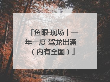鱼眼·现场丨一年一度 驾龙出涌（内有全图）