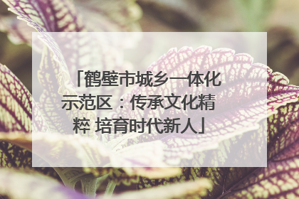 鹤壁市城乡一体化示范区：传承文化精粹 培育时代新人