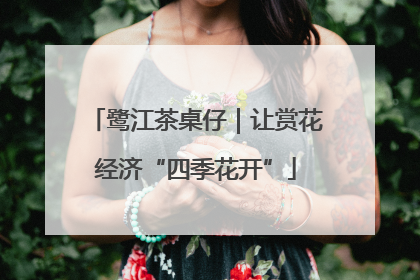 鹭江茶桌仔｜让赏花经济“四季花开”