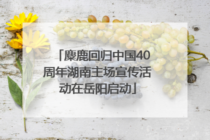 麋鹿回归中国40周年湖南主场宣传活动在岳阳启动