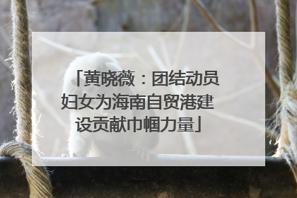 黄晓薇：团结动员妇女为海南自贸港建设贡献巾帼力量
