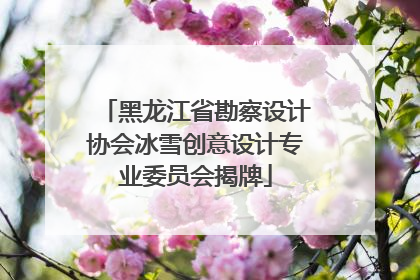 黑龙江省勘察设计协会冰雪创意设计专业委员会揭牌