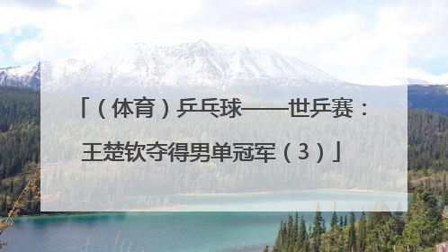 （体育）乒乓球——世乒赛：王楚钦夺得男单冠军（3）