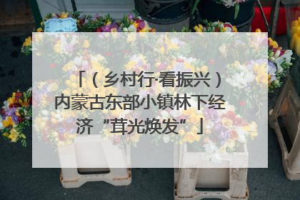 （乡村行·看振兴）内蒙古东部小镇林下经济“茸光焕发”