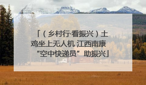 （乡村行·看振兴）土鸡坐上无人机 江西南康“空中快递员”助振兴