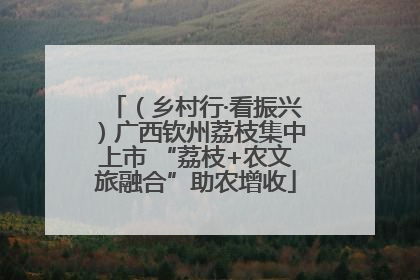 （乡村行·看振兴）广西钦州荔枝集中上市 “荔枝+农文旅融合”助农增收