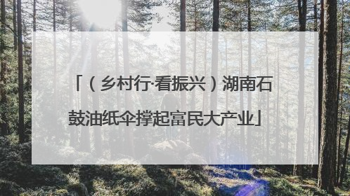 （乡村行·看振兴）湖南石鼓油纸伞撑起富民大产业