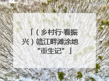 （乡村行·看振兴）赣江畔滩涂地“重生记”