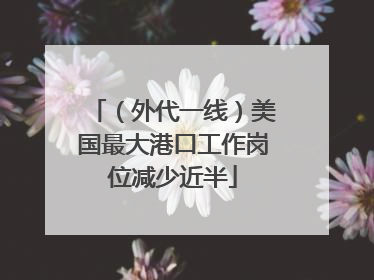 （外代一线）美国最大港口工作岗位减少近半