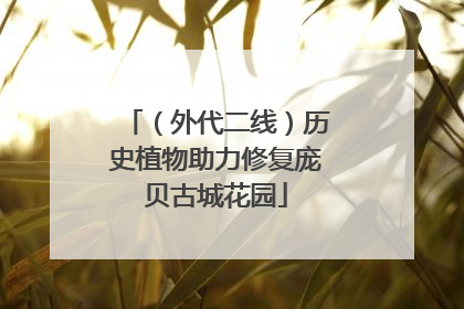（外代二线）历史植物助力修复庞贝古城花园