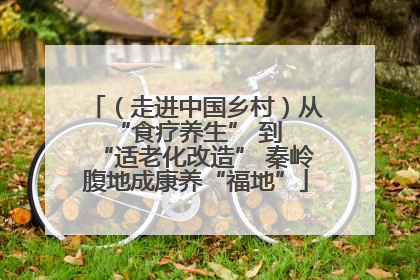 （走进中国乡村）从 “食疗养生” 到 “适老化改造” 秦岭腹地成康养“福地”